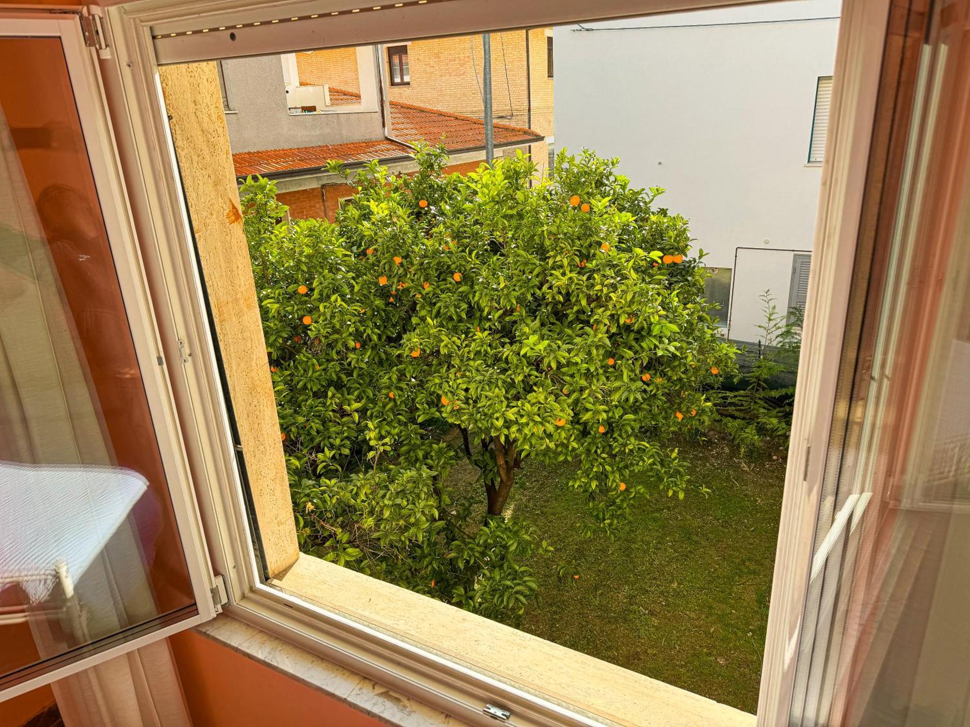 Bel Fiore San Benedetto del Tronto Dış mekan fotoğraf